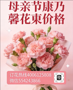 中山五桂山花店母亲节康乃馨花束